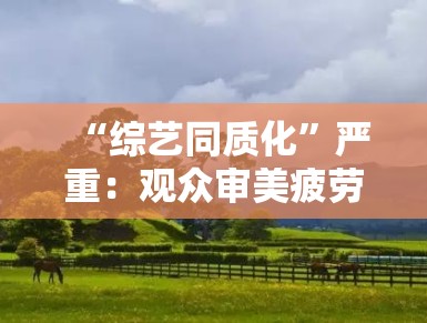 “综艺同质化”严重：观众审美疲劳，节目创新路在何方？