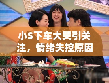 小S下车大哭引关注，情绪失控原因成谜